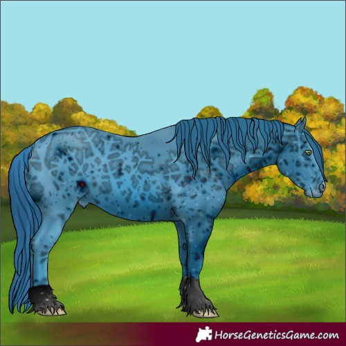 Horse Color:ERROR: UNKNOWN ANOMALY