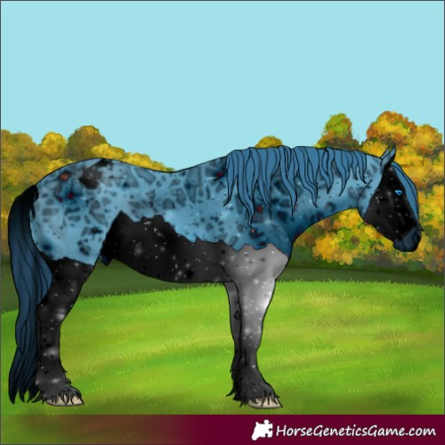 Horse Color:ERROR: UNKNOWN ANOMALY
