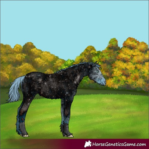 Horse Color:ERROR: UNKNOWN ANOMALY