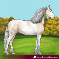 Horse Color:Silver Bay Pearl Dun Sabino Tobiano
