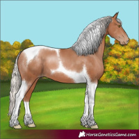 Horse Color:Silver Brown Pearl Tobiano