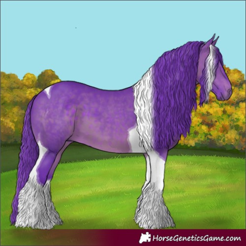 Horse Color:Watercolor Brown Tobiano 