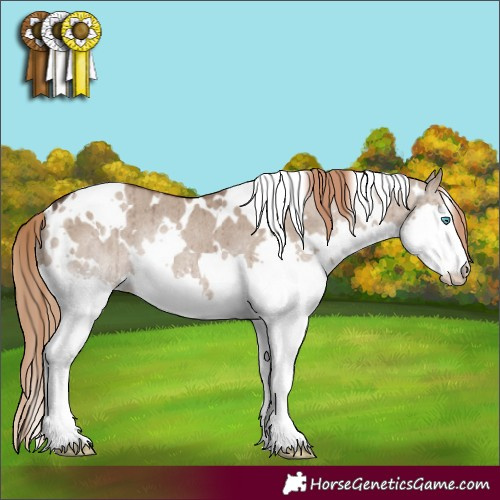 Horse Color:White Spotted Liver Red Dun Splash Rabicano Brindle 