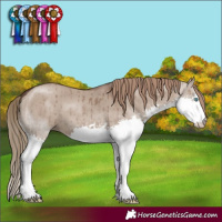 Horse Color:Liver Red Dun Splash Brindle