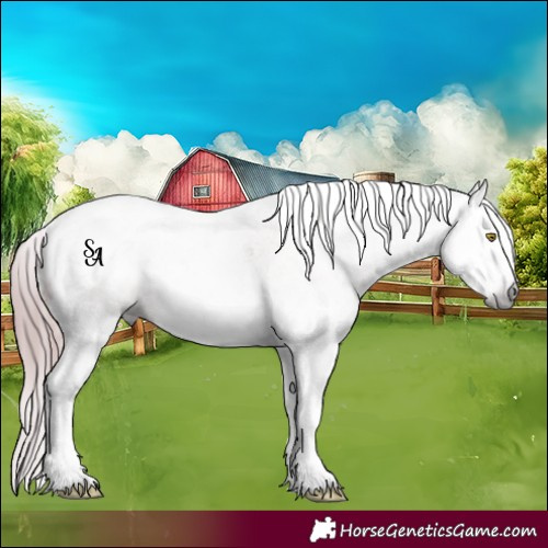 Horse Color:Gray Gold Champagne Splash Tobiano 