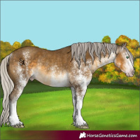 Horse Color:Gray White Spotted Silver Classic Cream Champagne Rabicano 