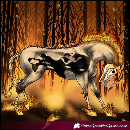 Horse Color:Void Buckskin Frame 