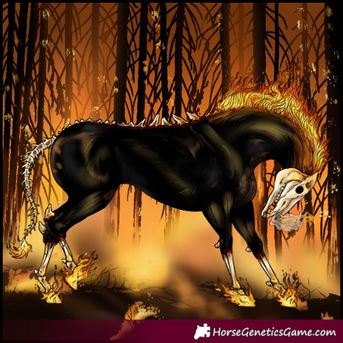 Horse Color:Void Bay Tobiano Frame Appaloosa