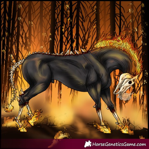 Horse Color:Void Smoky Black 