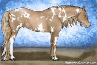Horse Color:White Spotted Liver Chestnut Pearl 