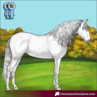 Horse Color:Gray White Spotted Buckskin Dun Sabino Brindle 