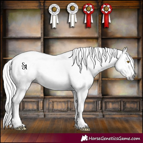 Horse Color:Gray Sable Champagne 