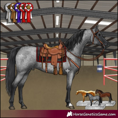 Horse Color:Blue Roan 
