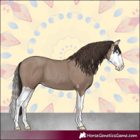 Horse Color:Classic Champagne Splash 