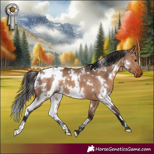 Horse Color:White Spotted Bay Dun 
