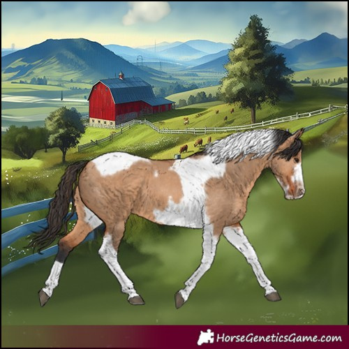 Horse Color:Bay Dun Tobiano Frame 