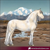 Horse Color:White Spotted Palomino Pearl Tobiano