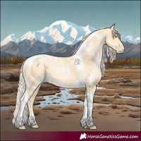 Horse Color:White Spotted Palomino Pearl Tobiano 