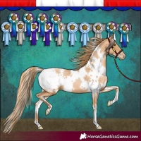 Horse Color:White Spotted Chestnut Pearl