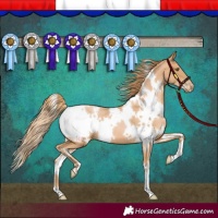 Horse Color:White Spotted Chestnut Pearl 
