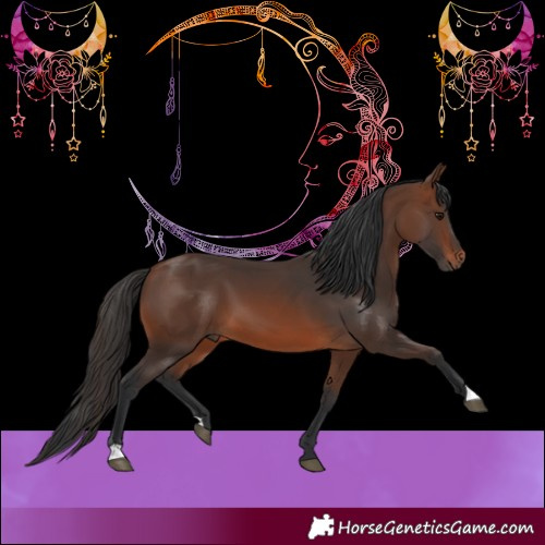 Horse Color:Brown 