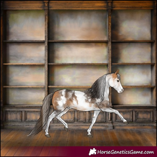 Horse Color:White Spotted Buckskin 