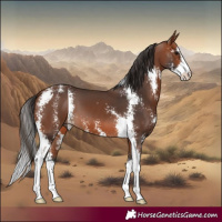 Horse Color:Bay Sabino 