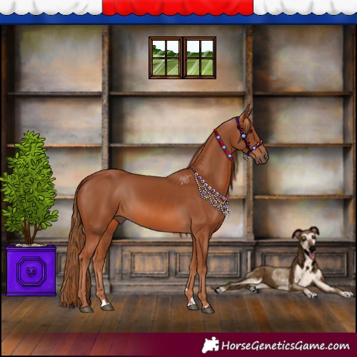 Horse Color:Chestnut 