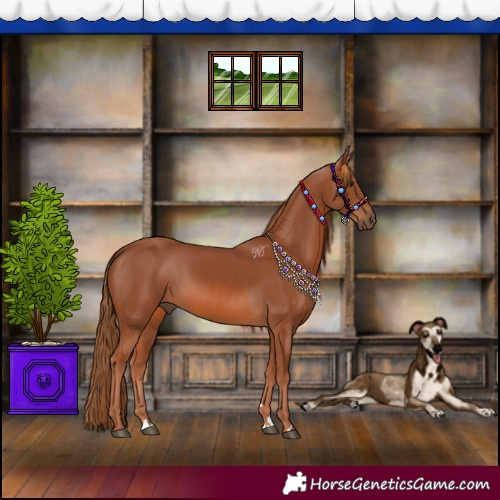 Horse Color:Chestnut 