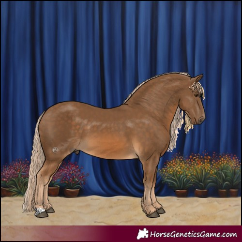 Horse Color:Chocolate Palomino 