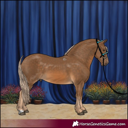 Horse Color:Chocolate Palomino 