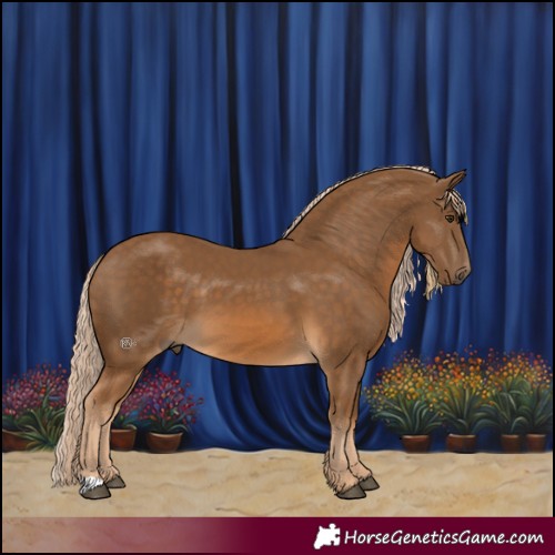 Horse Color:Chocolate Palomino 