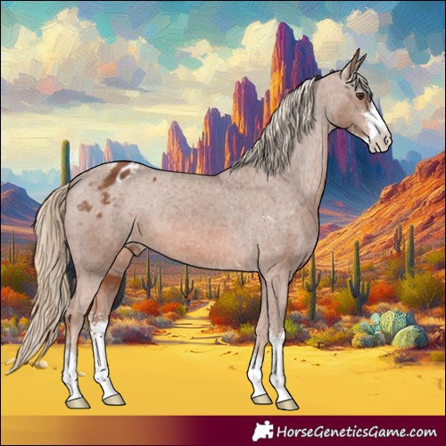 Horse Color:Chestnut Sabino Appaloosa 