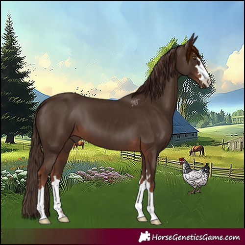 Horse Color:Liver Chestnut 