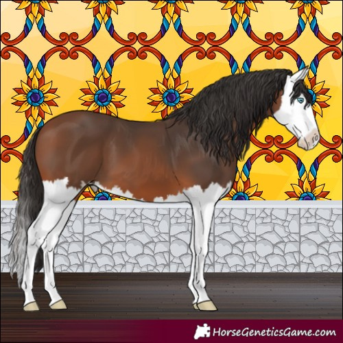 Horse Color:Bay Splash 