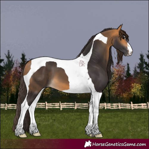 Horse Color:Buckskin Tobiano 