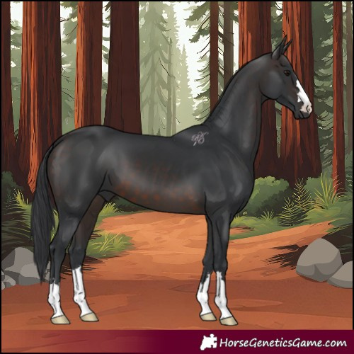 Horse Color:Brown 