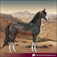 Horse Color:Brown 