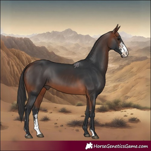 Horse Color:Bay Sabino 