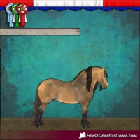 Horse Color:Buckskin 