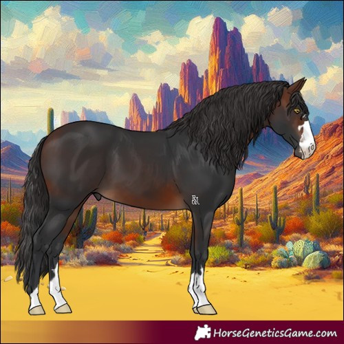 Horse Color:Brown 