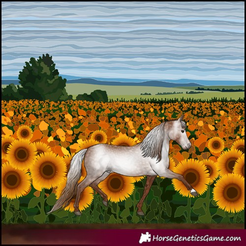 Horse Color:Gray Chestnut 