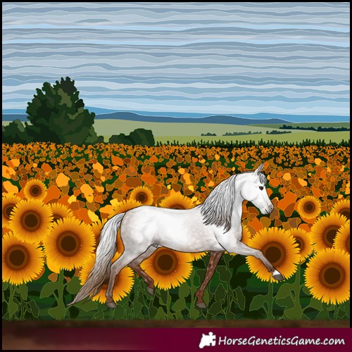 Horse Color:Gray Chestnut 