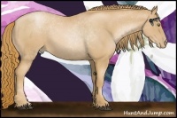 Horse Color:Chestnut Pearl