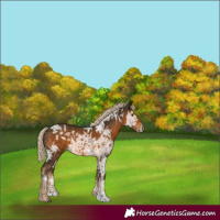 Horse Color:Chocolate Palomino Ice 