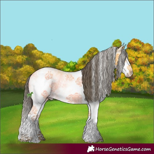 Horse Color:White Spotted Buckskin Ice Sabino Splash 