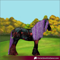 Horse Color:ERROR: UNKNOWN ANOMALY
