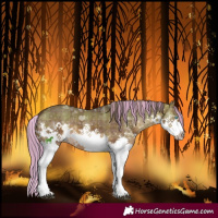 Horse Color:Painted Plaid  Brown Dun Splash Tobiano 