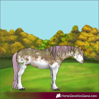 Horse Color:Painted Plaid Brown Dun Splash Tobiano