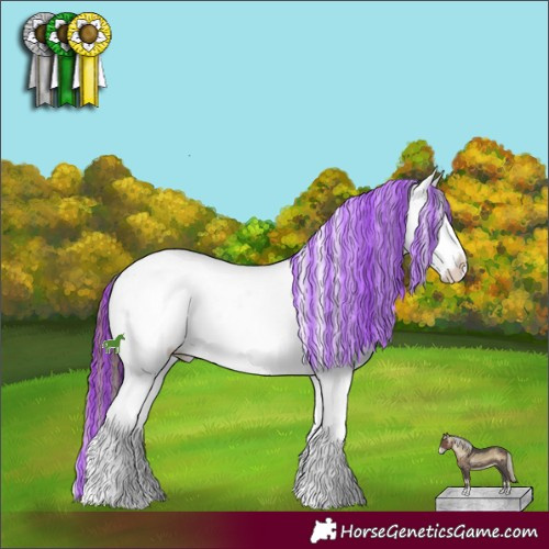 Horse Color:Painted Brown Ice Roan Onyx Splash Appaloosa 